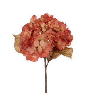 Hydrangea Stem 80cm Coral