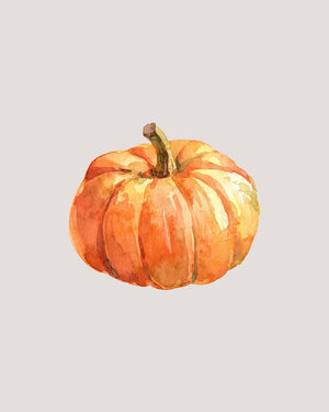 Floral Pumpkin Workshop