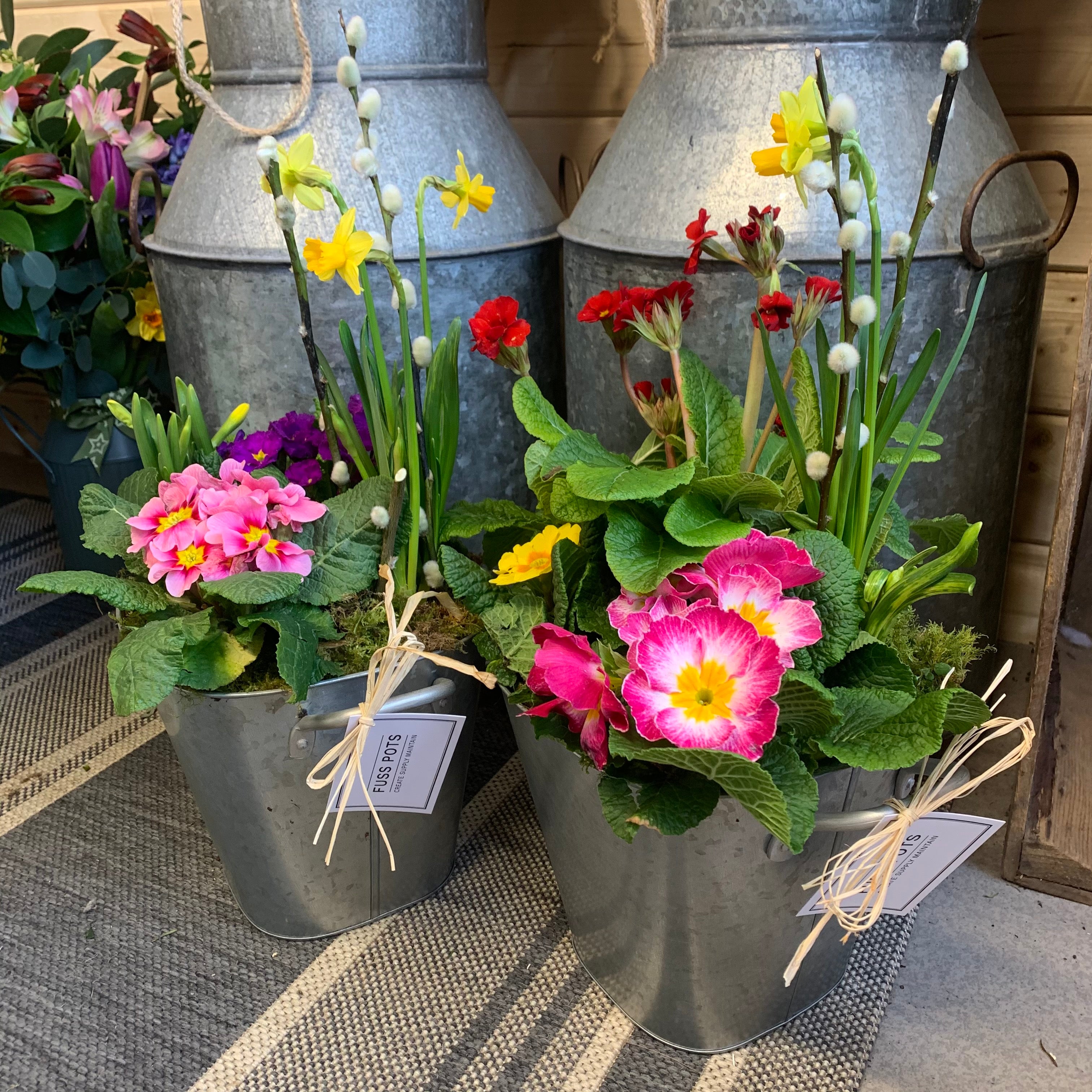 planted pots Seasonal Planted Pots